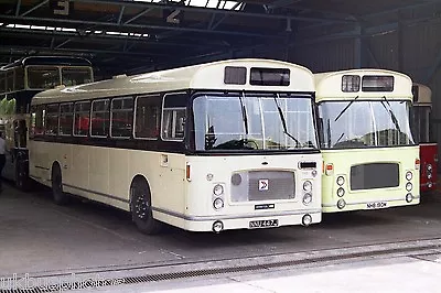 Midland General 148 & District Preserved RE's Derby Bus Photo • £2.70