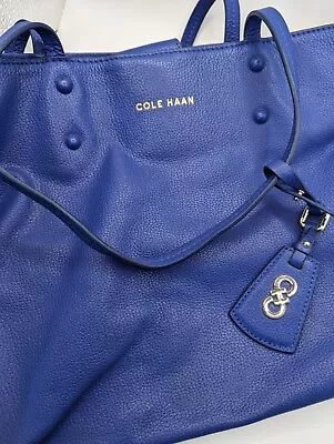 Blue Cole Haan Large Leather Bag • $33