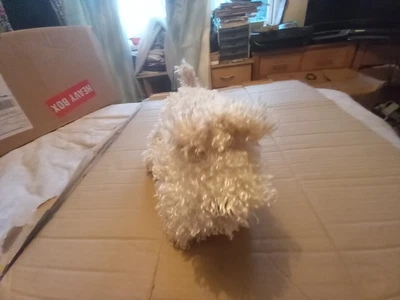 £0.99 • Buy Dog Teddy (Wk22)