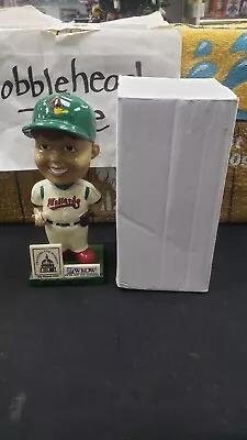 Nib Mascot Boy Smile  Say Cheese  Madison Mallards Bobblehead Sga Not Og Box • $9.99