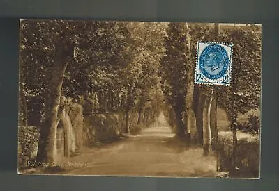 1909 Jersey Channel Islands England RPPC Postcard Cover Vinchlez Lane View • £24.13