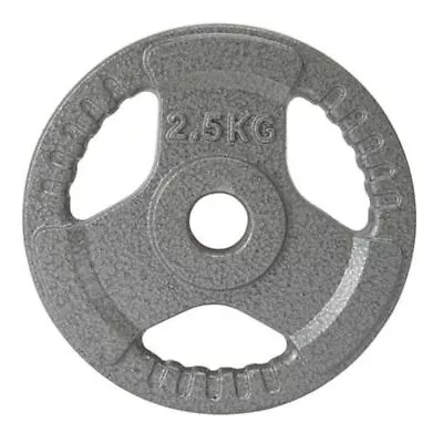 2.5kg Standard Solid Cast Iron Hammertone Weight Plates Weightlifting 25mm • $29.99