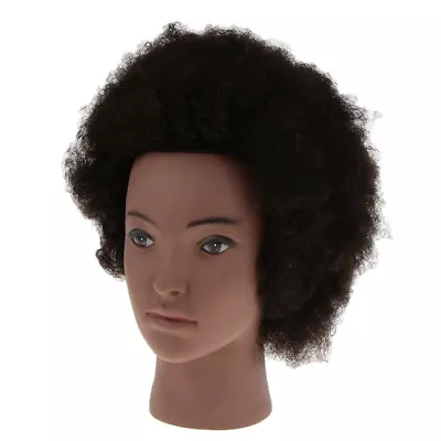 £35.06 • Buy Salon Hairdressing Practice Training Head Short Afro Hair Mannequin Doll