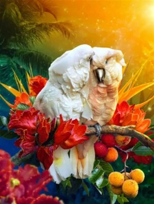 $17.95 • Buy 5D Diamond Painting Kit Full Round Drill 2 Cockatoo's In Tree 20X30 Craft Art