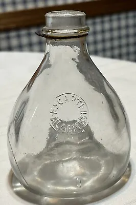 Vintage Antique Clear Glass Escarti Algemesi Wasp Fly Trap • $30