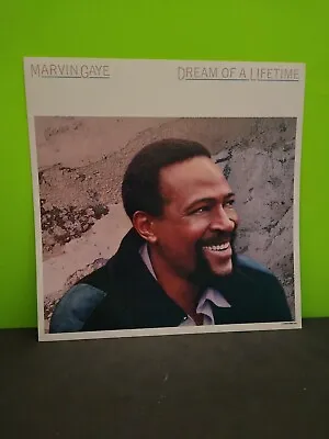 Marvin Gaye Dream Of A Lifetime LP Flat Promo 12x12 Poster • $6.49