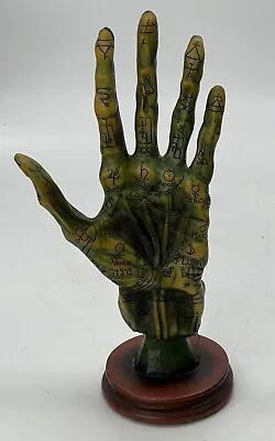 Alchemy Mummified Palmistry Hand Gothic 11” Tall • $27.95