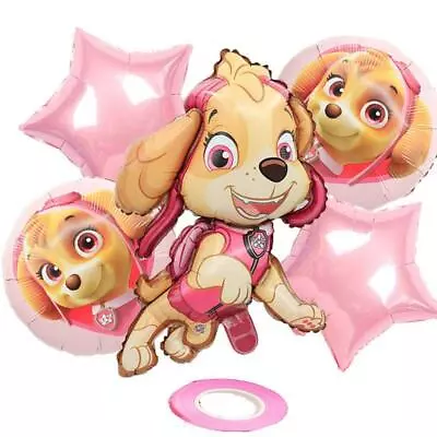 5PCS PAW PATROL SKYE PINK BIRTHDAY BALLOON HELIUM Foil Balloon PARTY • $12.50