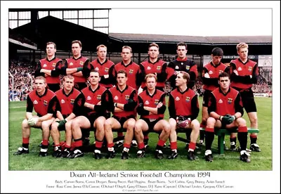 £34.50 • Buy Down All-Ireland Senior Football Champions 1994: GAA Print