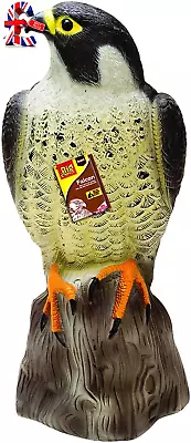 Quality  Falcon   Decoy  Bird  Scarer   Life - Like  Colouring   Beige   One • £16.99