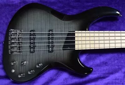 MTD Kingston Saratoga (5) Deluxe Black Burst/ Maple • $1099