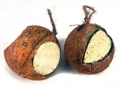 Chubby Suet Whole Filled Coconuts & Quarters Coco Fat Feeder Wild Bird Food • £6.99