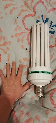 £50 • Buy LUMII CFL Bulb 130W 6500k And Secret Jardin Daisy Reflector