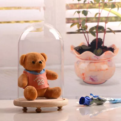£8.95 • Buy Glass Dome Display Bell Jar Cloche W/ Wood Base For Figure Action Doll Storage