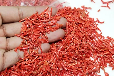 100 Crt Natural Genuine Italian Coral Polished Loose Branches Reef Beads Lot  • $26.99