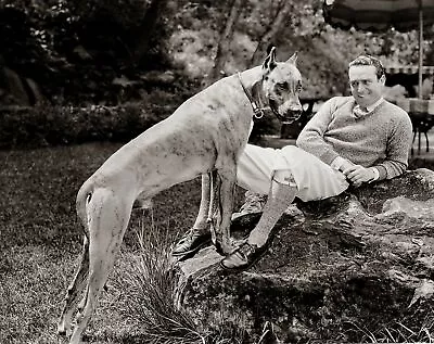 HAROLD LLOYD With His GREAT DANE Photo  (160-a ) • $11.57