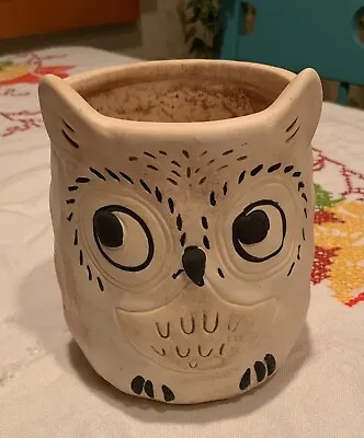 Adorable Ceramic Owl Pot/Planter • $12