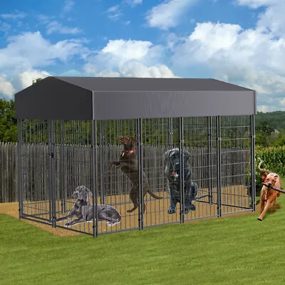 $199.93 • Buy Giant Tall Uptown Welded Outdoor Dog Kennel Playpen Pet Animal Run Crate W/ Roof
