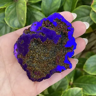 Purple Cobalt Aura Geode From USA - High Quality Large Crystal Geode • $25