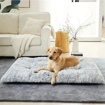 Warm Plush Dog Bed Mat Washable Calming Cushion For Pet Puppy For Large Dog Cat • £14.99