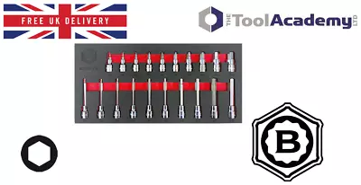 BRITOOL HALLMARK 20pce 3-12mm 6 Point Allen Bit Hex Socket 3/8 Drive + Foam Tray • $57.62