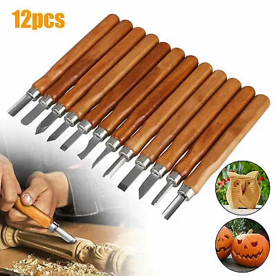 £11.35 • Buy Classical 12Pcs Wood Carving Chisels Hand Woodworking Cutter Tools Kit Set