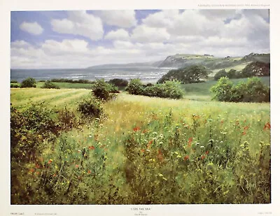 David Dipnall  I See The Sea  Coastal Landscape Green Fine Art Print Collectible • £14.99