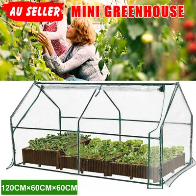 Mini Greenhouse Outdoor Garden Shed Green House Tunnel Frame Plants Storage 120L • $40.95