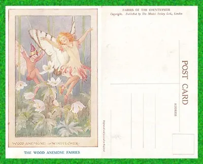 Vintage A/S Margret W Tarrant Fairies  Postcard  WOOD ANEMONE OR WINDFLOWER.  • £3.99