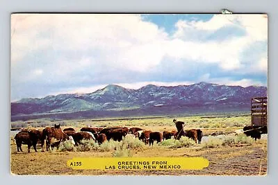 $9.99 • Buy Las Cruces NM-New Mexico, Scenic Greetings, Cattle, Vintage C1958 Postcard