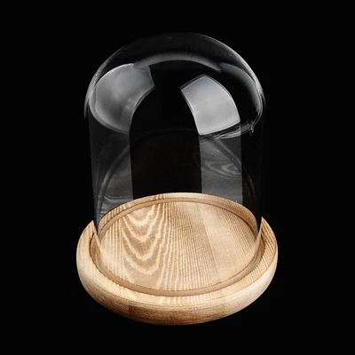 £8.59 • Buy DIY Decorative Glass Dome With Wooden Base Cloche Bell Jar Display Stand 3 Sizes