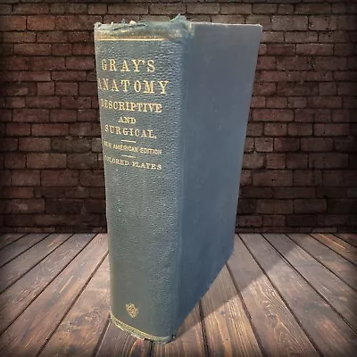 GRAY'S ANATOMY DESCRIPTIVE AND SURGICAL 1897 RARE Plates ANTIQUE Medical Book • $159.95