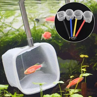 Mesh Square Round Aquarium Shrimp Small Fish Tank Round Net Long Handle Tools • £4.22