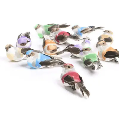 $27.92 • Buy Factory Direct Craft 12 Vibrant Assorted Color Mushroom Birds