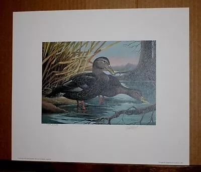 Black Ducks Kentucky 1987 Duck Stamp Print With Stamp By RJ McDonald Waterfowl • $140