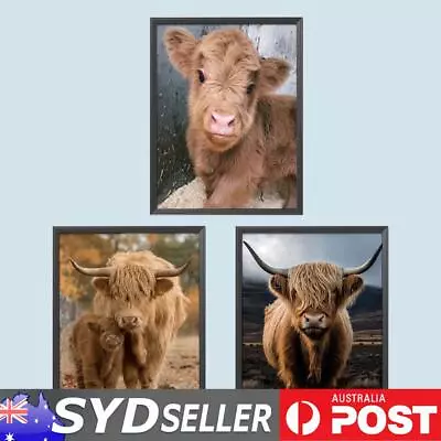 5D DIY Full Round Drill Diamond Painting Scottish Highland Cow Kit Home Decor • $11.09