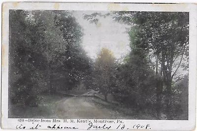 Postcard PA Montrose Penn 1908 Featuring Mrs HM Kent’s Driveway — D17 • $10.97