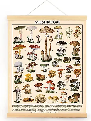 Vintage Mushroom Poster Fungus Wall Art Prints Rustic Mushroom Wall Hanging Illu • $14.13