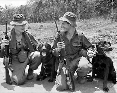 Trackers With Their Dogs 1967 8x10 Vietnam War Photo 462 • $7.43