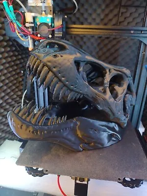 T-Rex Tyrannosaurus Skull Replica Dinosaur [Paintable][BLACK] • £50