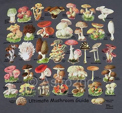 ULTIMATE MUSHROOM GUIDE--Toadstools Fungus Fungi Science Nature T Shirt S-3XL • $20