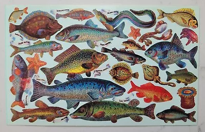 The Gifted Line Collectable Vintage Stickers 1995 John Grossman  Fish • $5.99