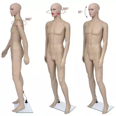 Male Full Body Realistic Mannequin Display For Dress Form With Base 183CM • $79.99