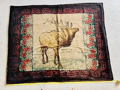 Victorian 1800's 5/A  Horsehair Carriage Buggy Lap Sleigh Blanket Rug 48x60 In • $150