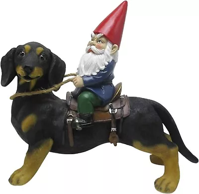 35cm Gnome Riding Dachshund Garden Statue - Weiner Dog Figure Weather Resistant • £24.99