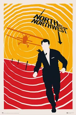 North By Northwest - Movie Poster (Pop-Art / Plane) (Size: 24  X 36 ) • $12.99