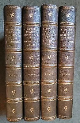 1899-1900 4vols The Flowering Plants Of Great Britain Anne Pratt Colour Plates • £300