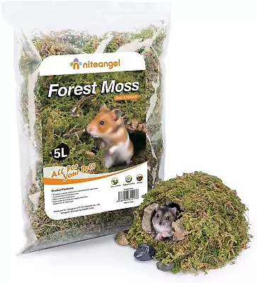 5L Forest Moss Soft Natural Moss Bedding Nesting For Dwarf Syrian Hamsters Gerb • £24.99