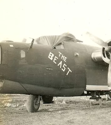 Org. Nose Art Photo: B-24 Bomber  THE BEAST !!! • $8