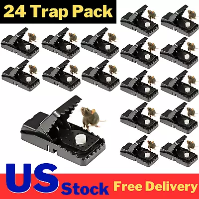 24 Pack Mouse Traps Rat Mice Killer Snap Trap Power Rodent Heavy Duty Pest Trap • $19.49